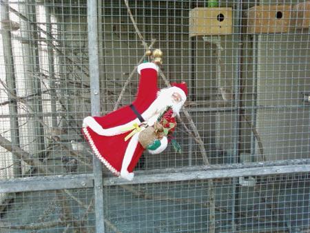 mais qu'est ce que tu fait?